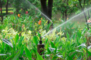 Motion Sensor Sprinkler in Garden 