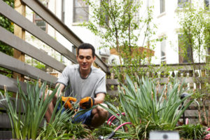 Man gardening in urban backyard
