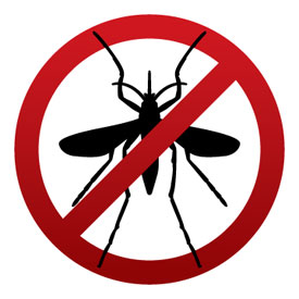 Mosquito Treatment Plans in CT, NY, MA, RI | Eliminate 'Em