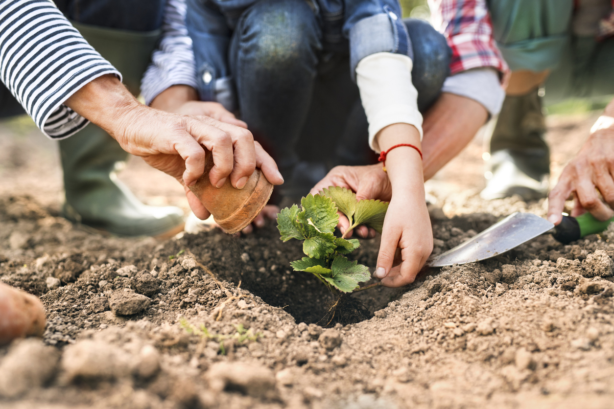 How to Garden with Kids in a Pest-Free Environment