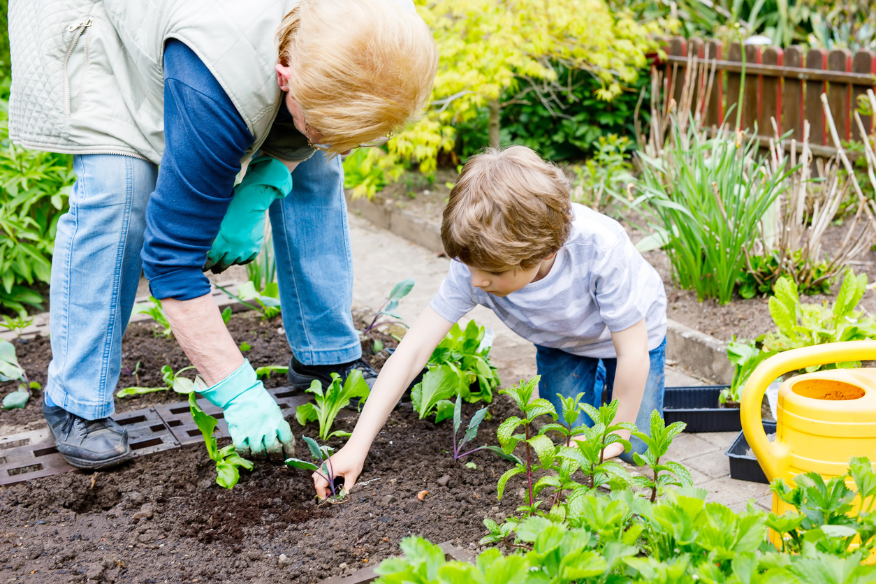 The Ultimate Guide to Repel Animals from Your Garden