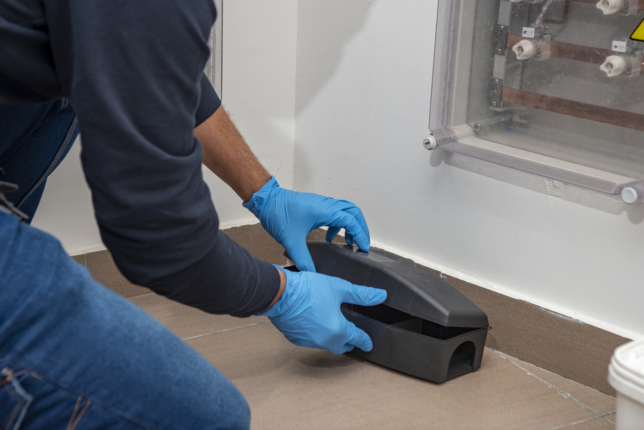 Rodent Control 101