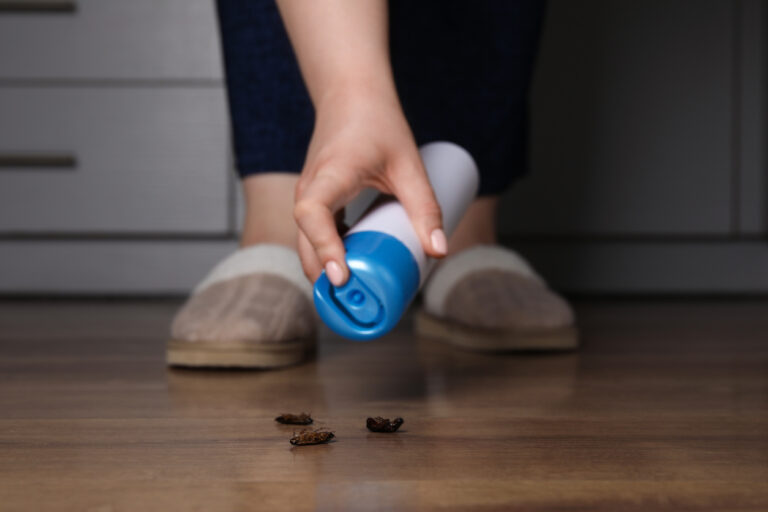 Is pest control worth it? Yes